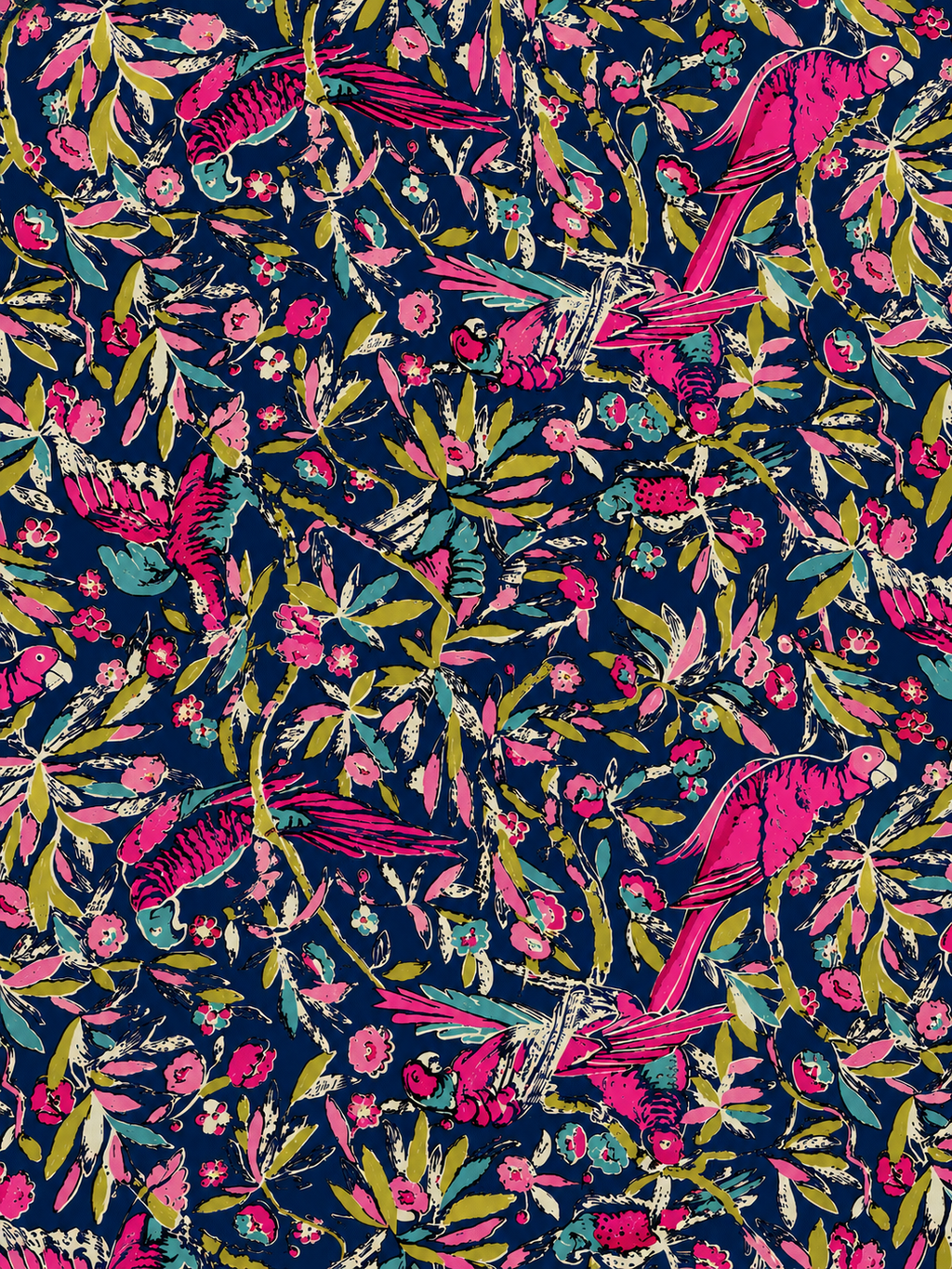 Bird of Paradise  MINI