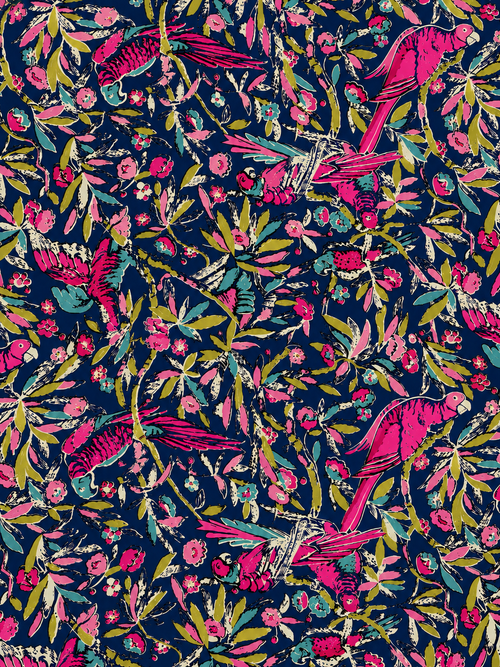 Bird of Paradise  MINI