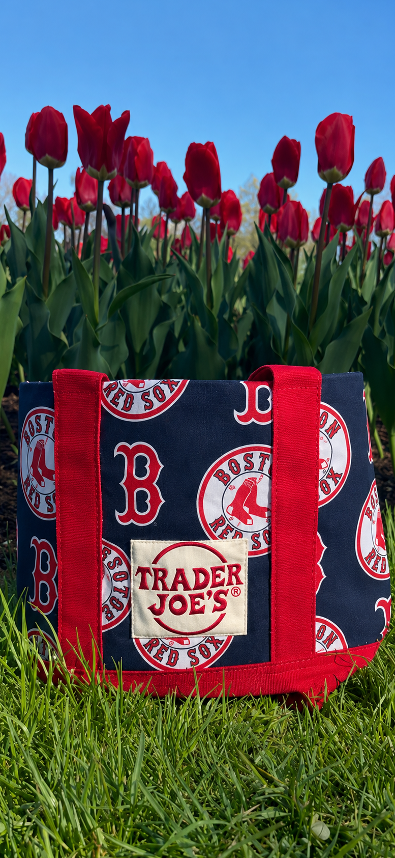 Red Sox Red    MINI / TJ